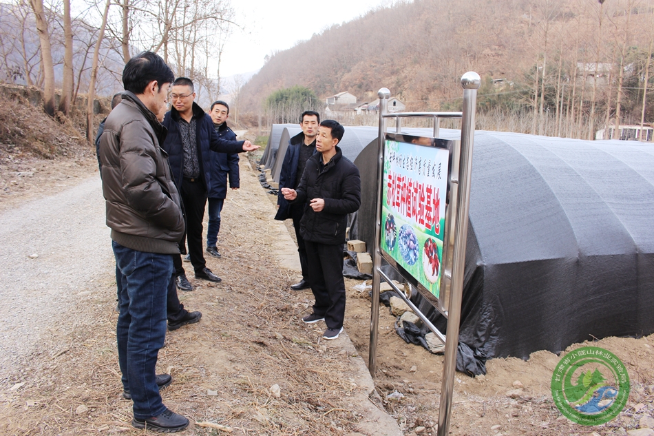 南云台林场交通优化升级，助推地方经济发展最新消息