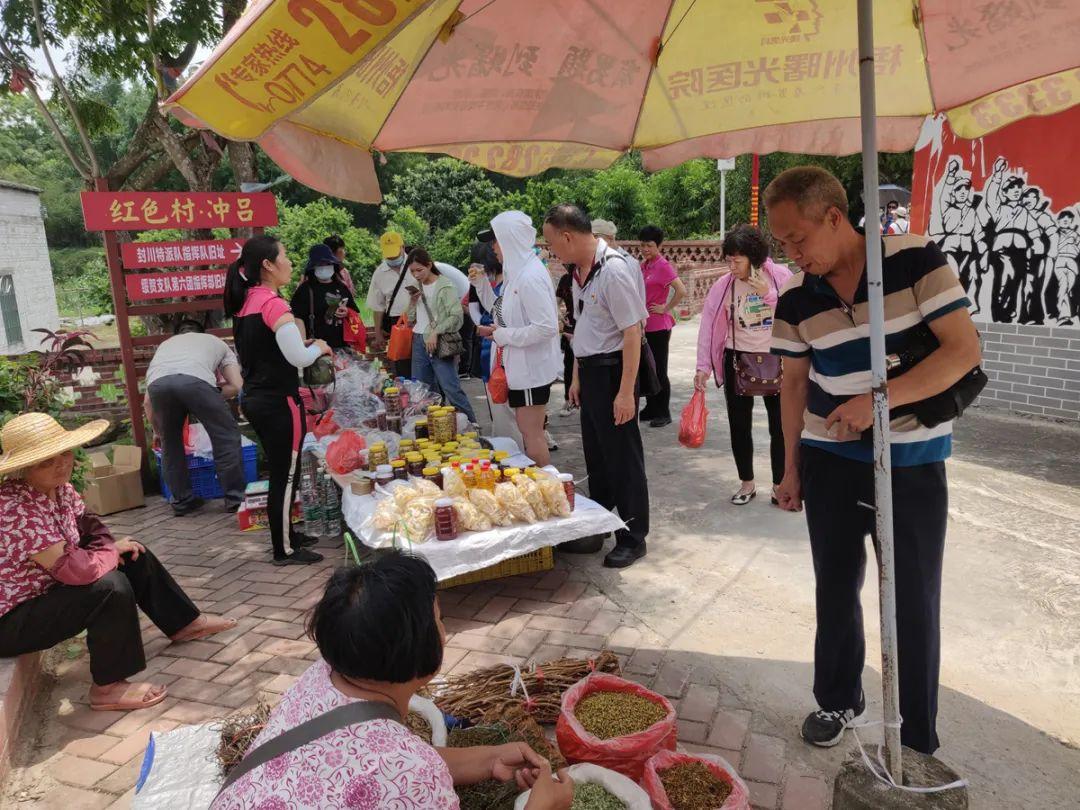 渔涝镇未来繁荣蓝图，最新发展规划揭秘