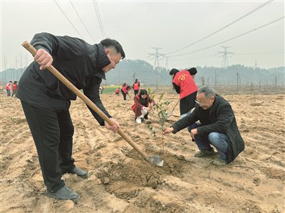 琴溪镇最新新闻速递