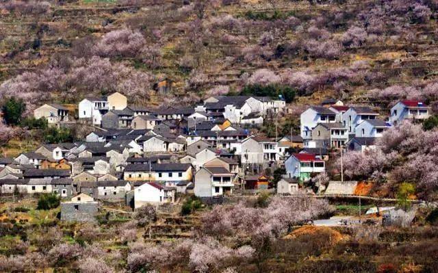 伦珠林村展现新时代乡村风貌与发展活力，最新新闻报道