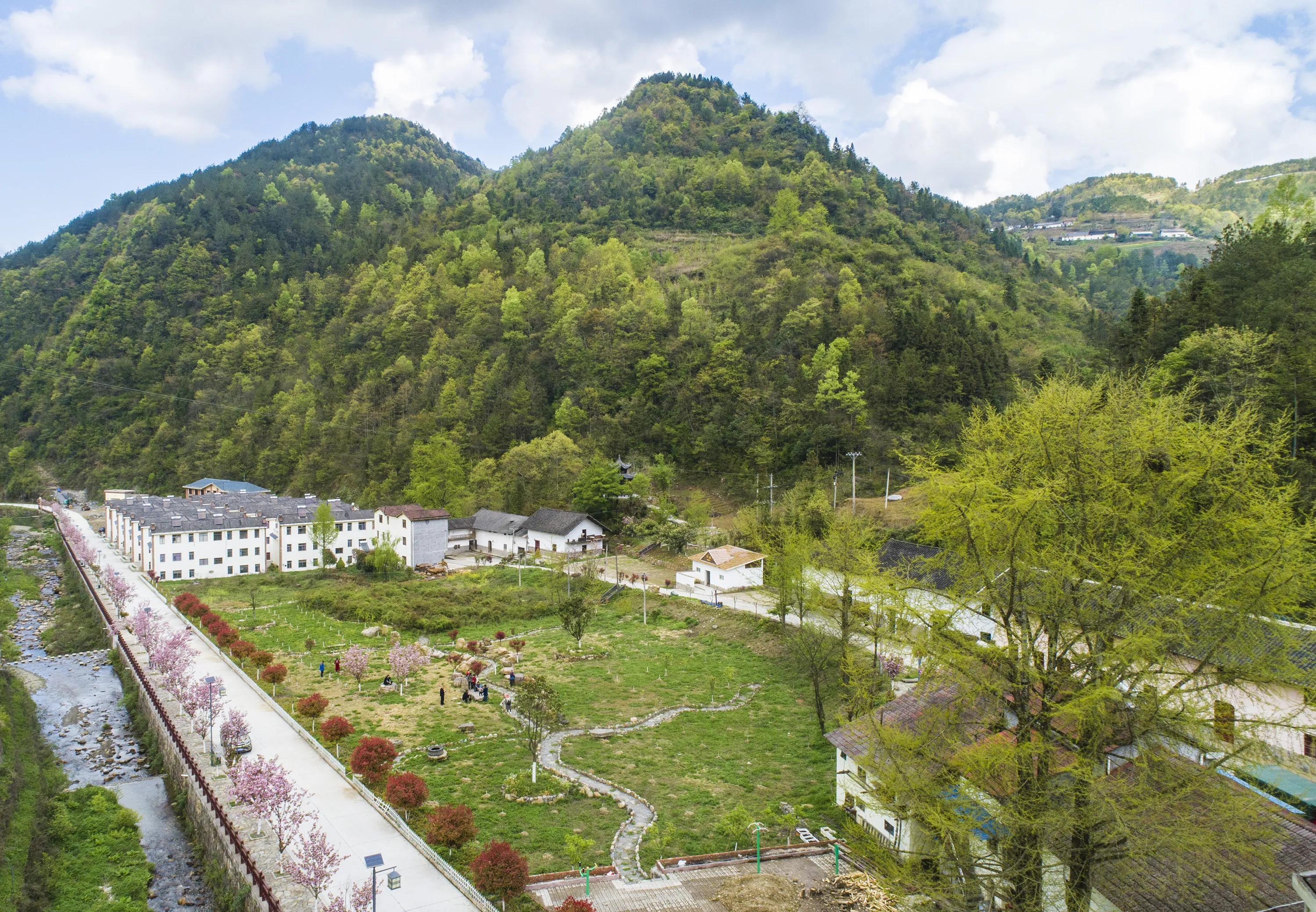 香龙山村新闻速递