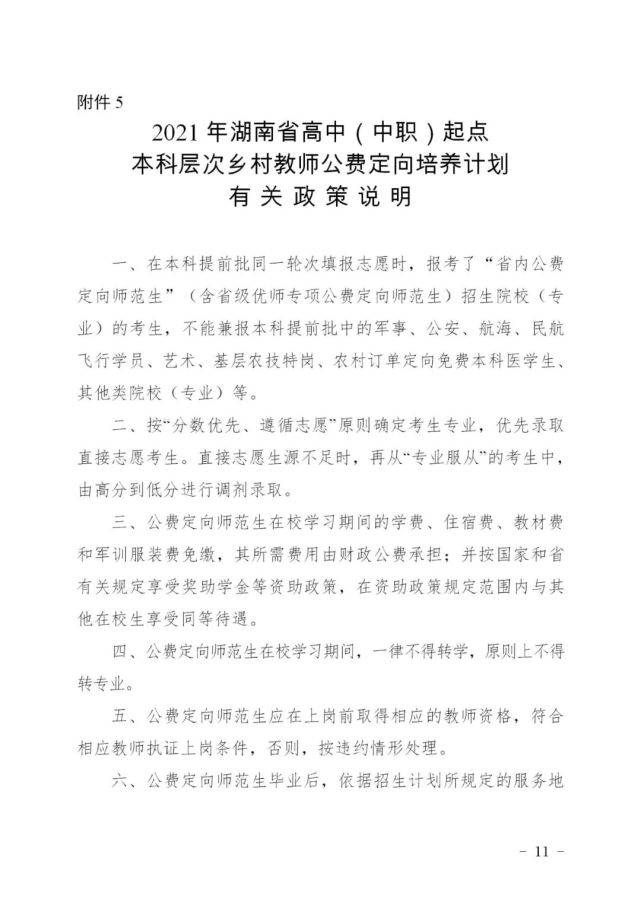 东山傈僳族彝族乡发展规划揭秘，走向繁荣与和谐共融的未来