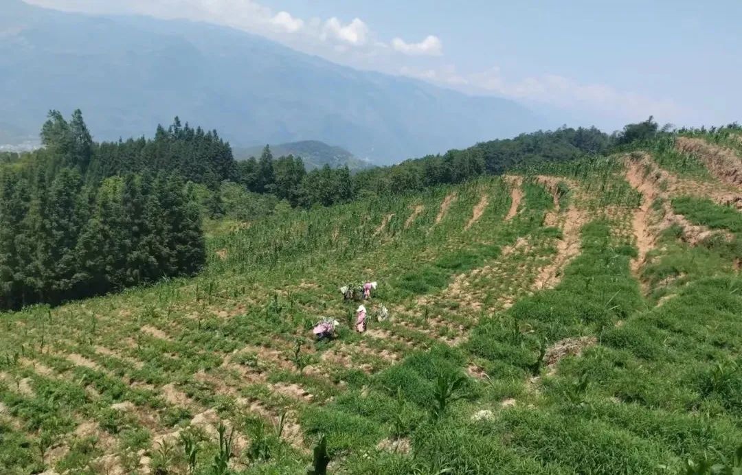 元岭山村委会新项目启动，地方发展新篇章