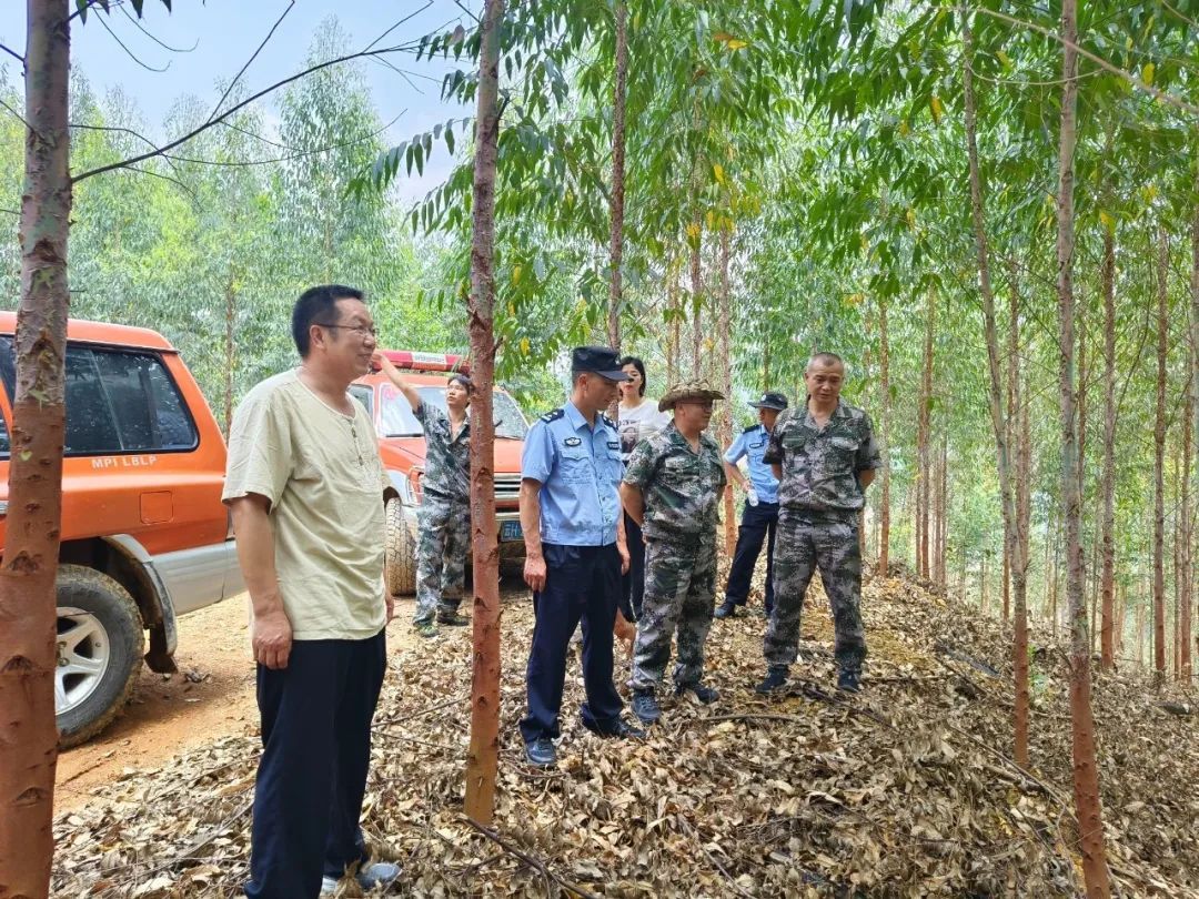 护林村民委员会绿色生态项目启动，共建美好家园新篇章