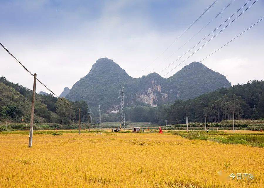 康孔村新项目启动，乡村振兴的新动力