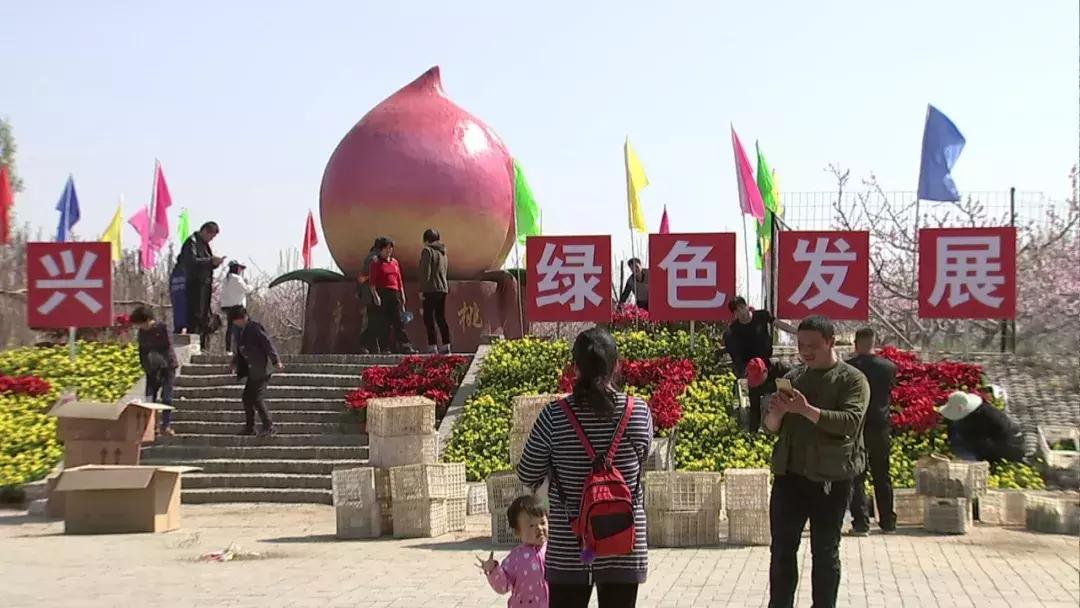 桃花吐镇最新交通动态报道