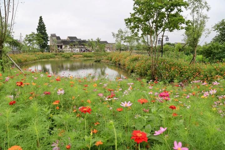 东普村最新发展规划