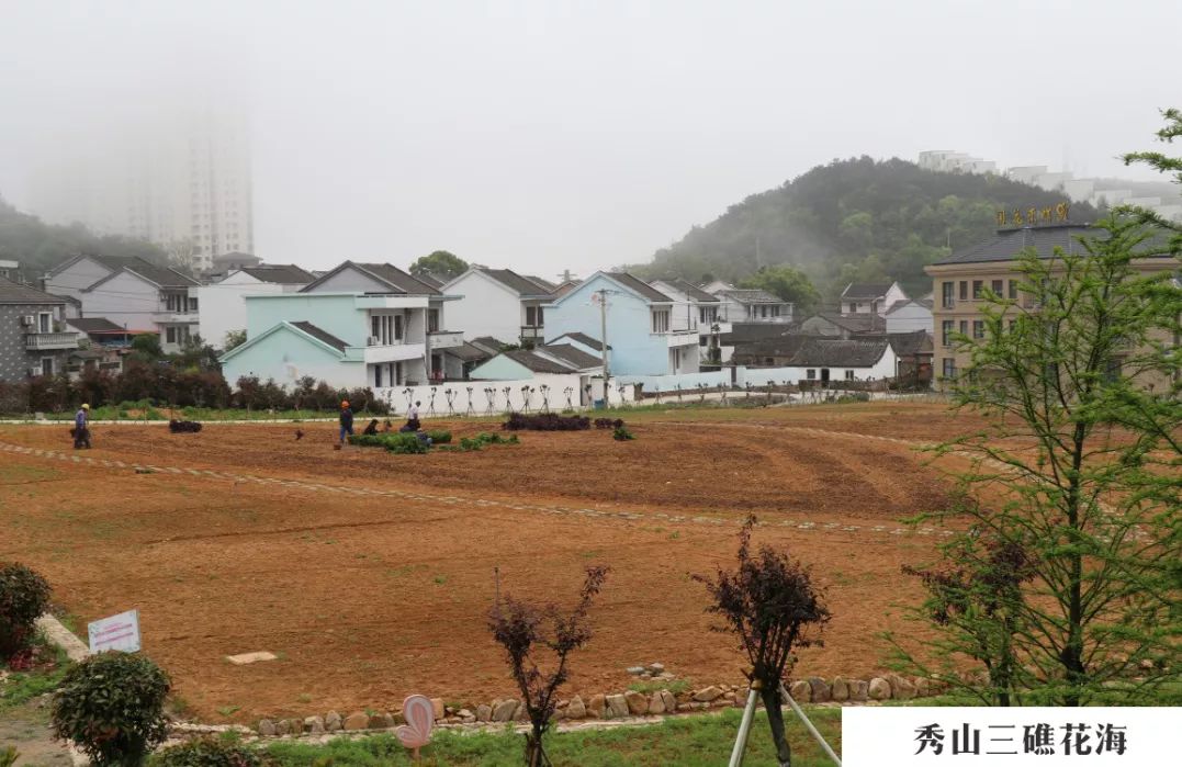 花海镇新项目，引领地区发展的璀璨明珠