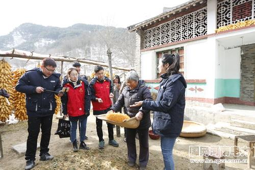 岳后渠村委会推动乡村振兴，实现可持续发展最新动态报道