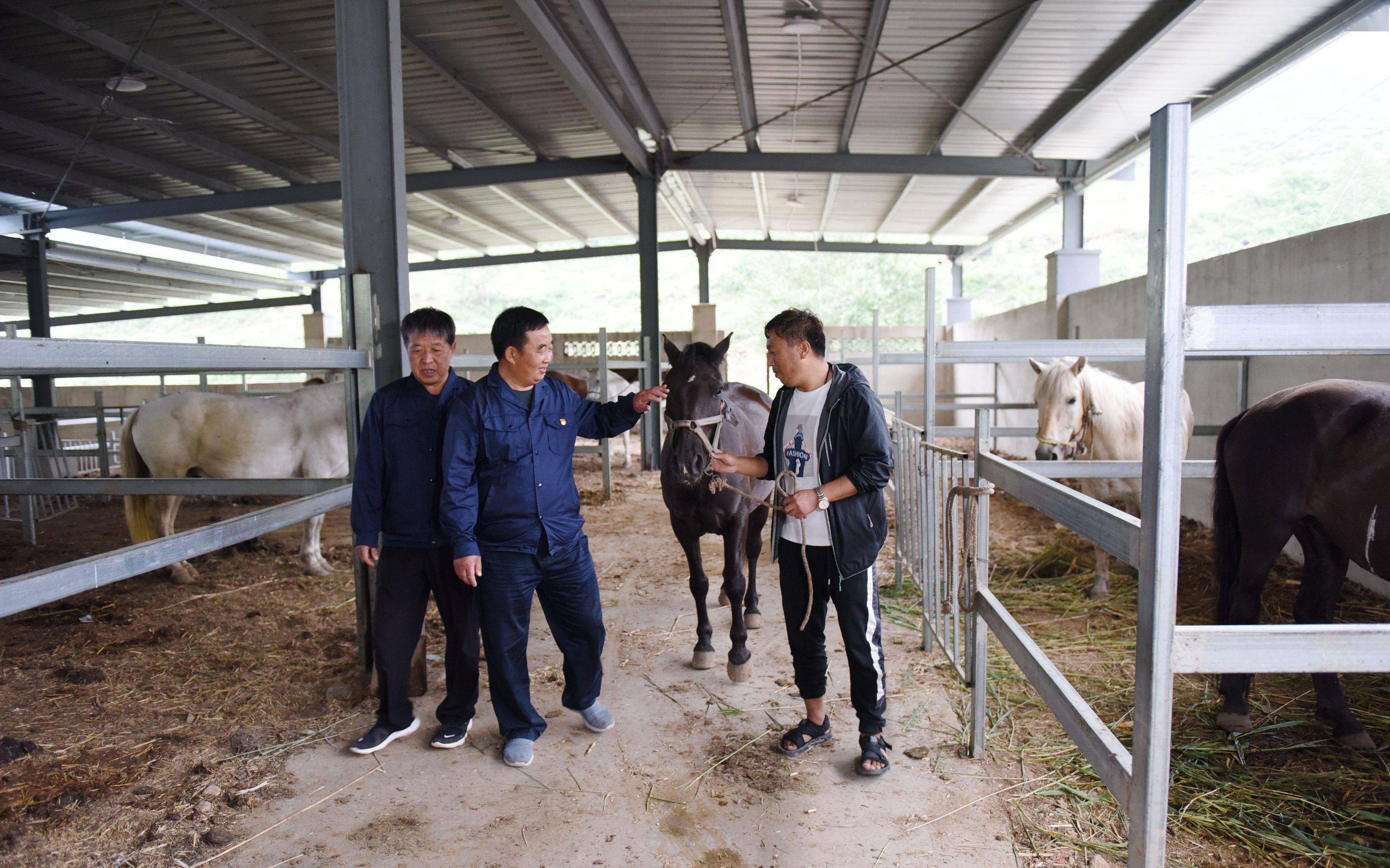 县联社马场最新交通新闻概览