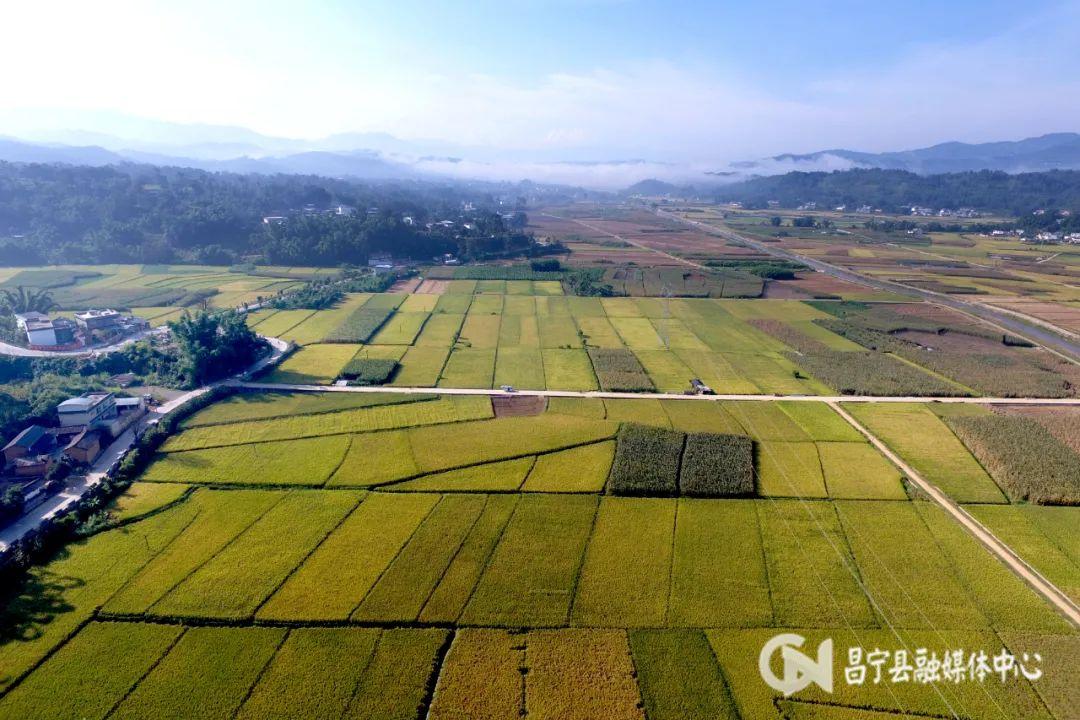 小勐统镇最新项目，地区发展的强大引擎领军企业