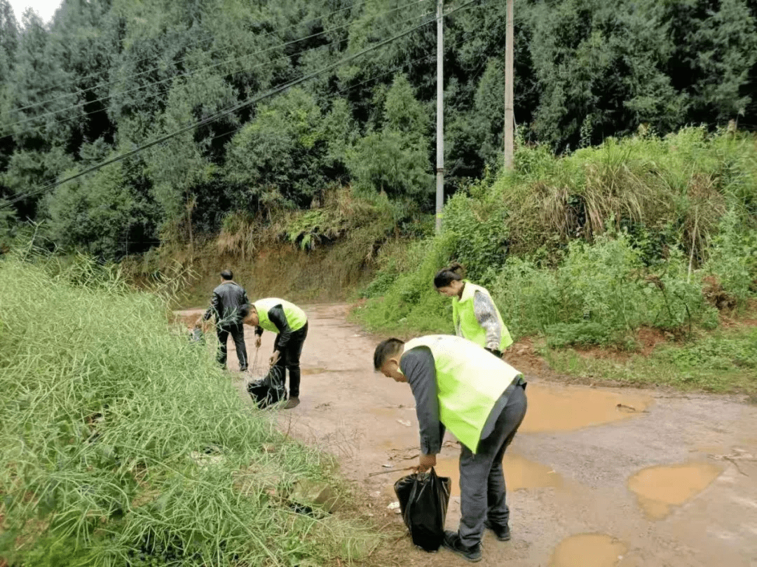 余坪乡最新招聘信息全面解析