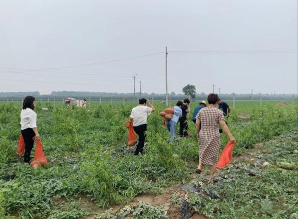 芦岗乡领导团队最新调整，引领地方发展的先锋力量