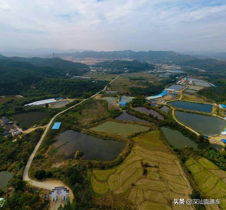 鹅埠镇天气预报更新通知