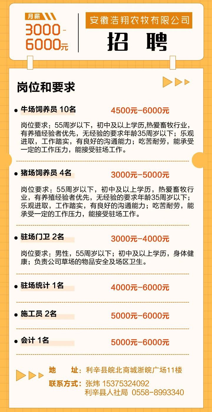 团结最新招聘信息全方位解读