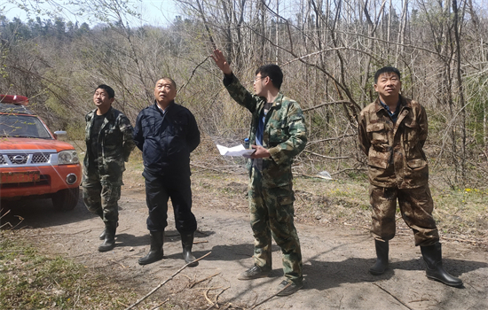 泉林林场绿色生态建设新篇章，最新新闻报道