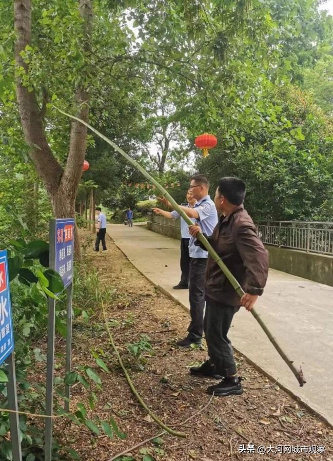 老城居委会最新交通新闻，重塑城市交通脉络，打造宜居生活