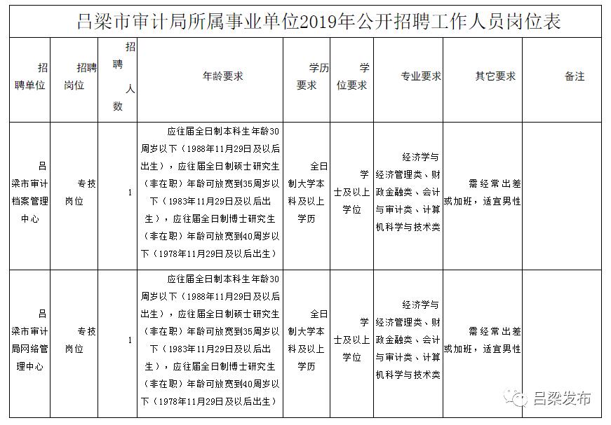 赵县审计局最新招聘信息详解