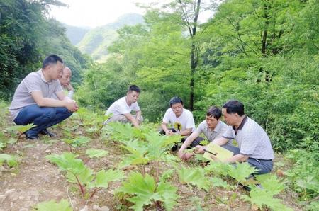 陈家坝村委会领导概览最新一览