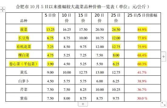 合肥市城市社会经济调查队最新新闻