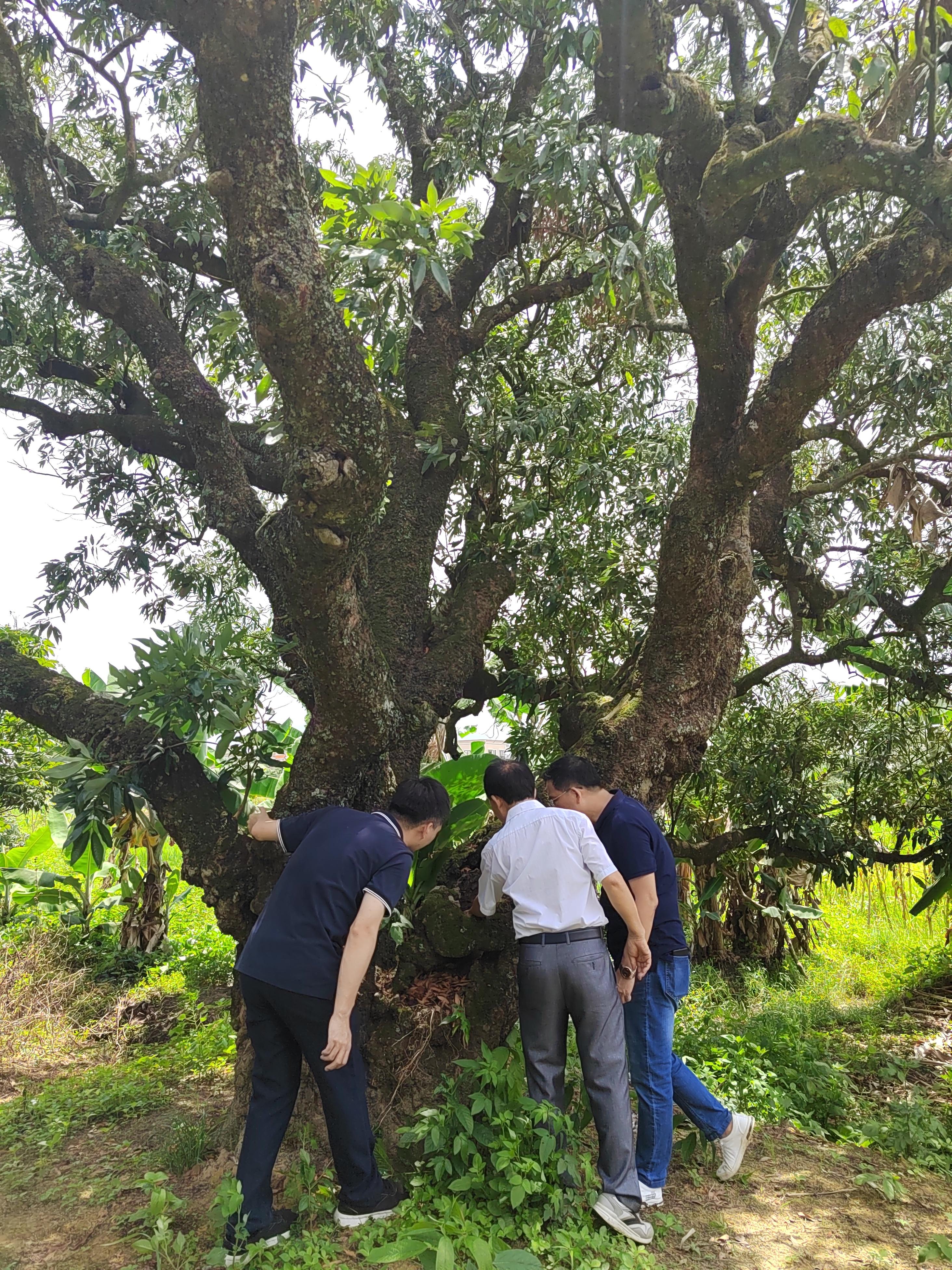 荔园堡村委会最新新闻