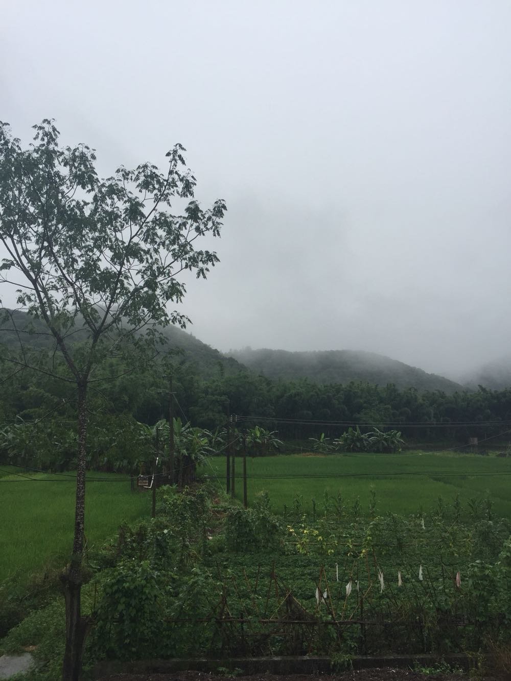 番巴村今日天气预报