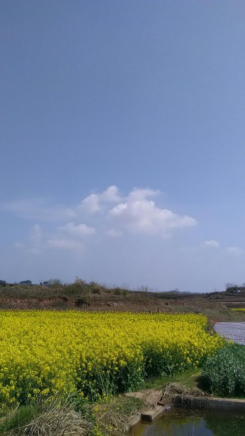 沙集镇天气预报更新通知