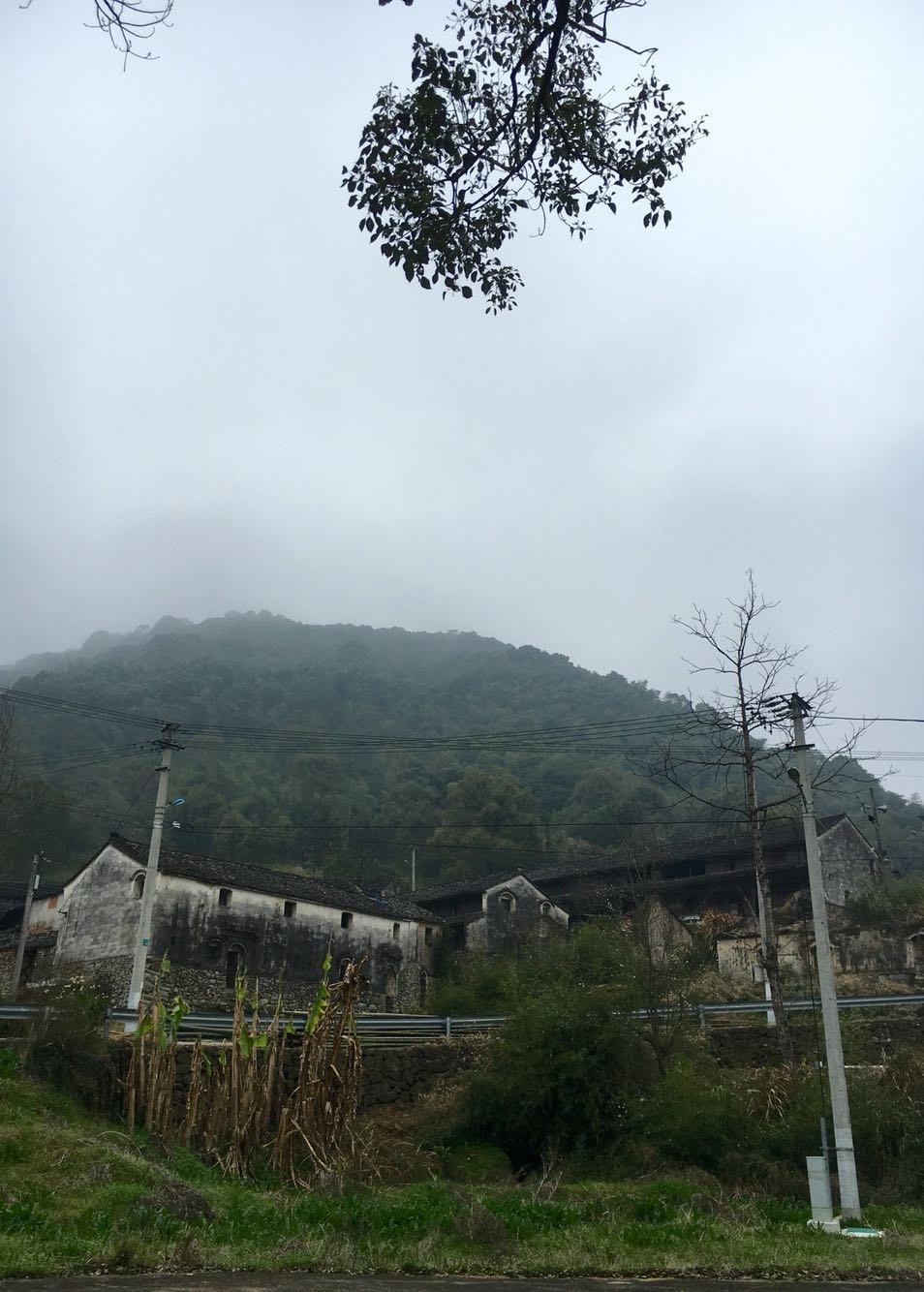 小堰沟村天气预报更新通知