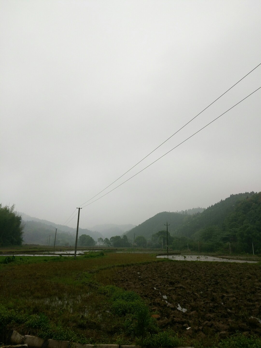 古零镇未来一周天气预报及生活建议