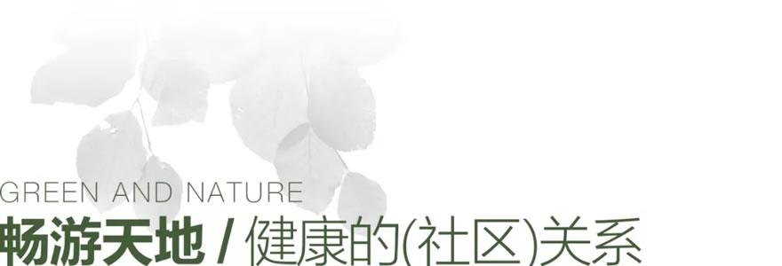 中山市首府住房改革委员会办公室新项目，城市住房改革新动力启程