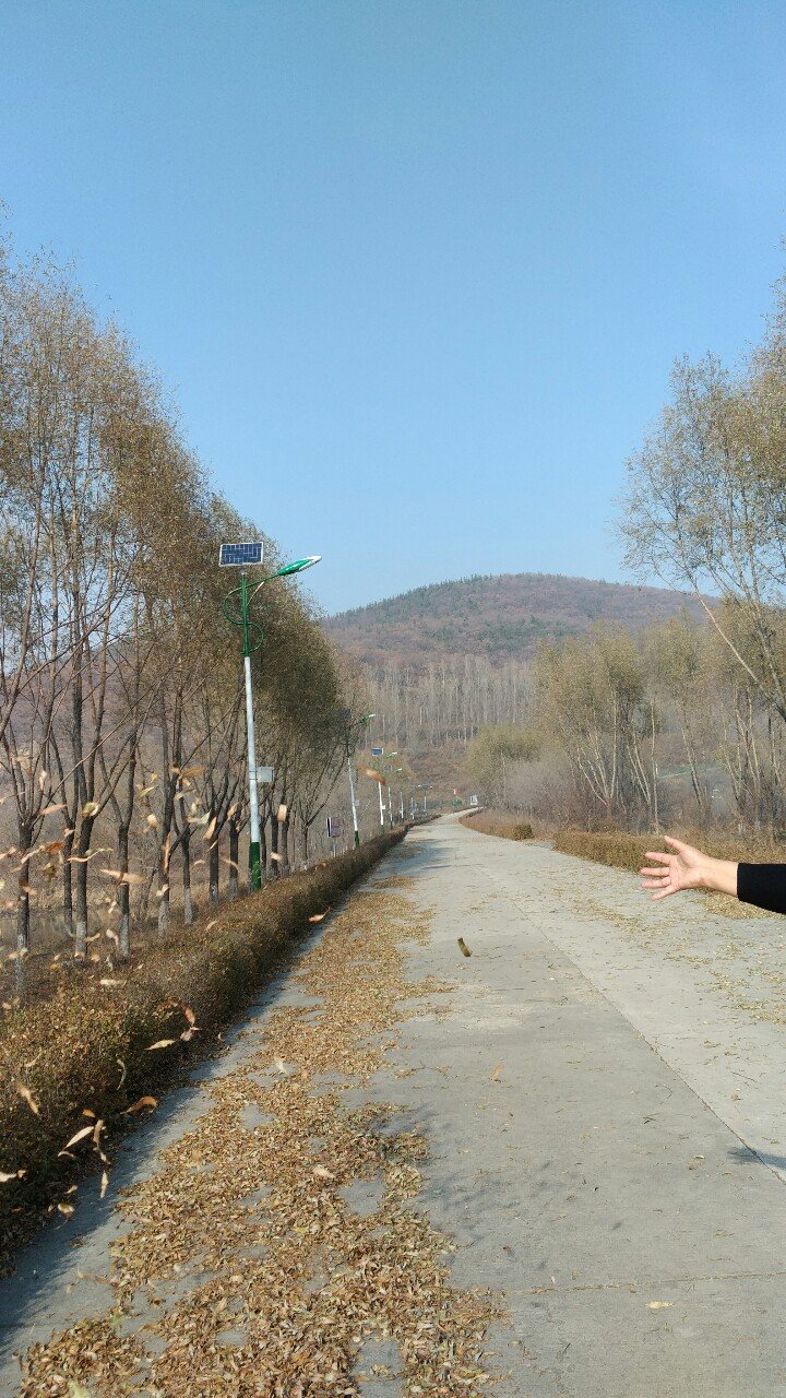 城子河街道天气预报更新通知