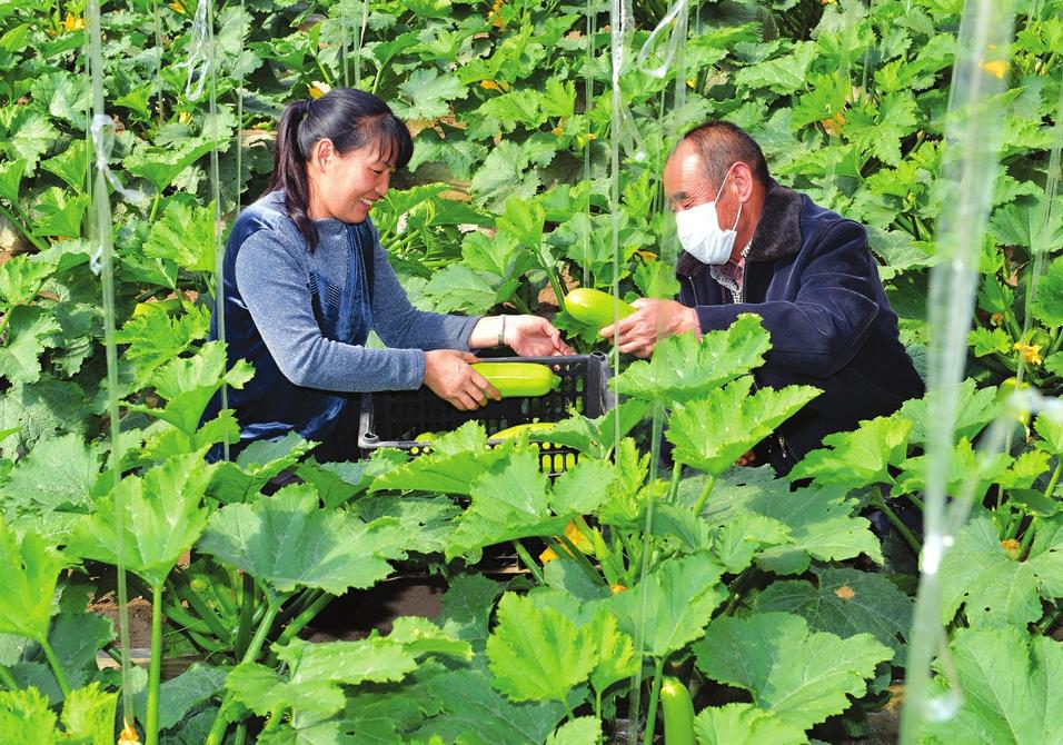 山西省大同市阳高县龙泉镇交通新闻更新